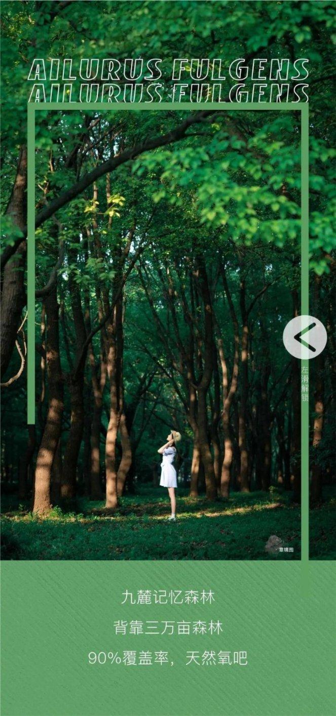 发现冷知识的家暴对孩子的影响?平台-每日分享精彩冷知识
